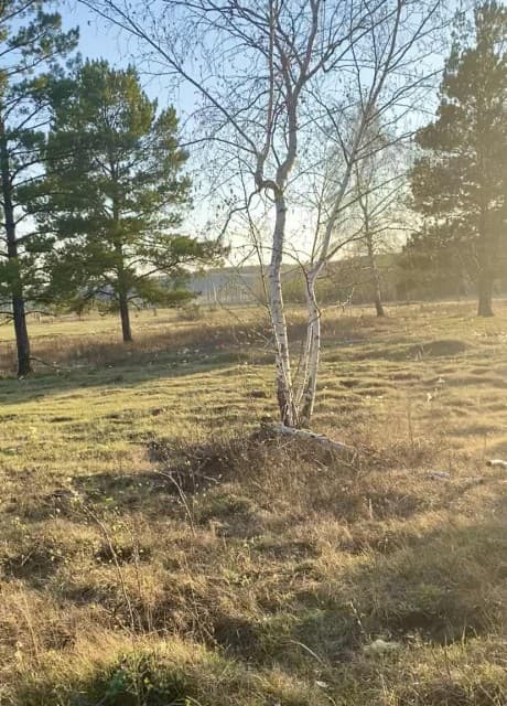 1013 м², земельные участки, продаю 5