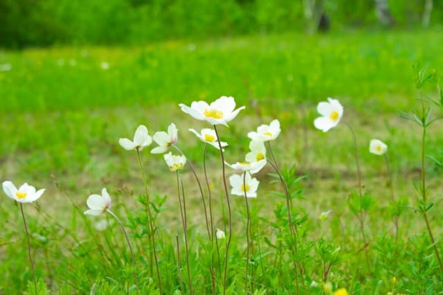 1513 м², земельные участки, продаю 14