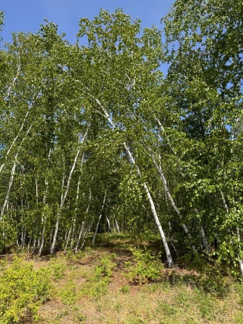 70000 м², земельные участки, продаю 2