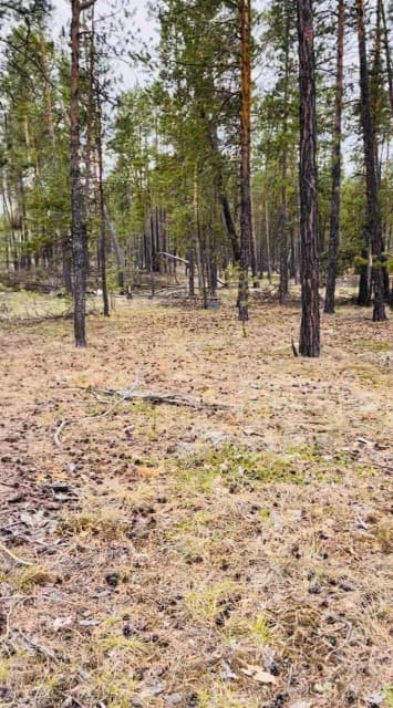 1201 м², земельные участки, продаю 3