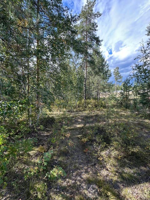 1000 м², земельные участки, продаю 7