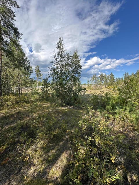 1000 м², земельные участки, продаю 6