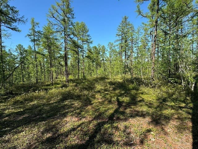 954 м², земельные участки, продаю 2