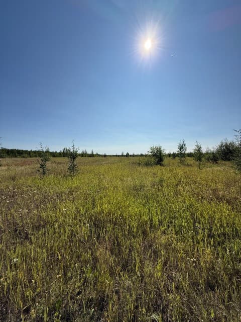 1200 м², земельные участки, продаю