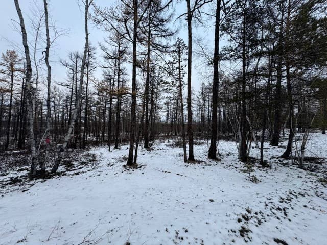 954 м², земельные участки, продаю 3