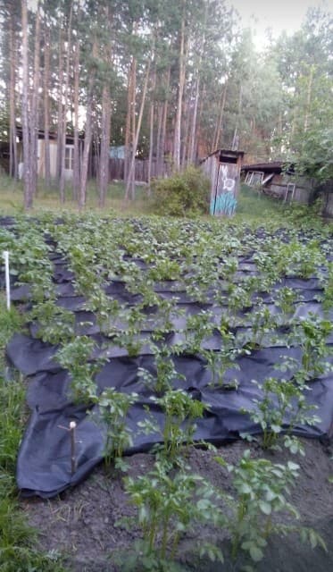 1600 м², земельные участки, продаю