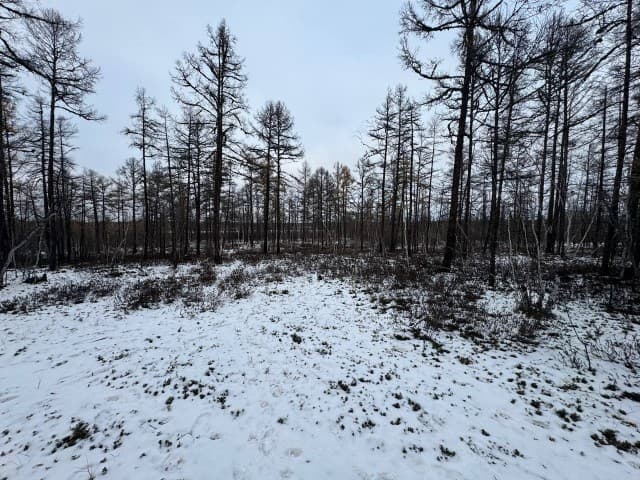 954 м², земельные участки, продаю 5