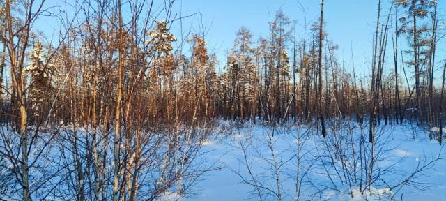 1200 м², земельные участки, продаю