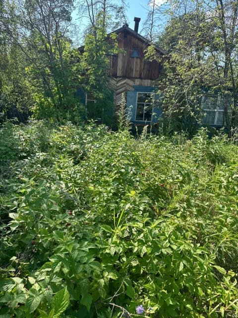 1233 м², земельные участки, продаю 9