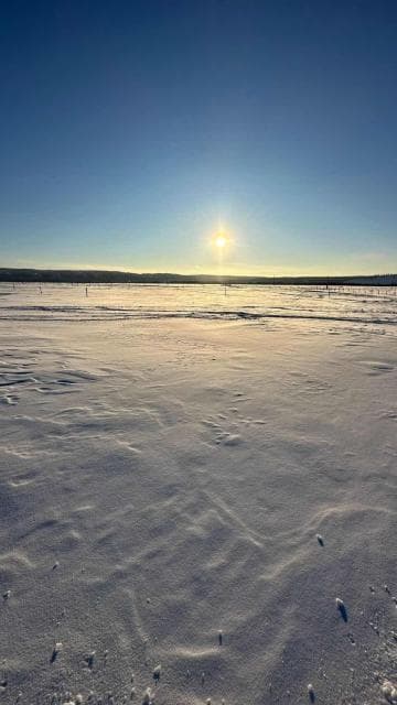 10000 м², земельные участки, продаю 2