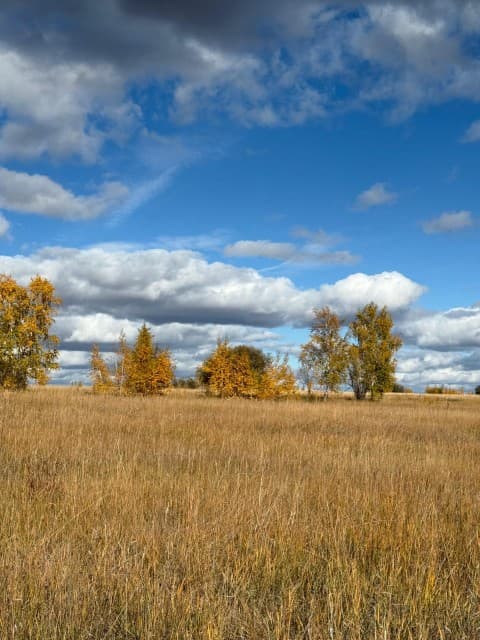 Земельные участки, продаю 4