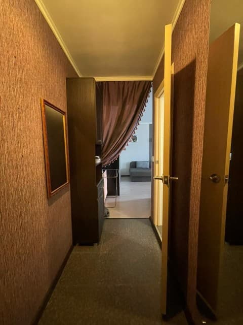 1 комн., 31 м², Хрущевка, Центр - район пл. Орджоникидзе 4