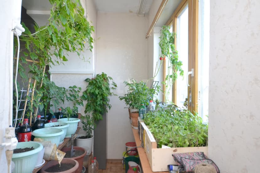 3 комн., 70 м², Инд. планировка 2