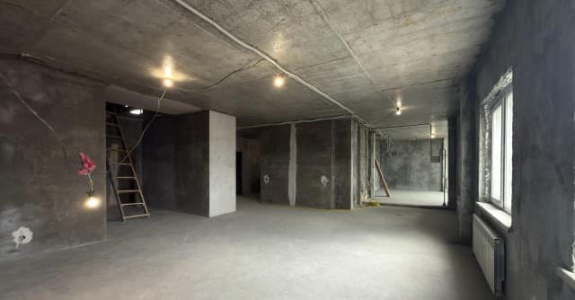 Больше 4 комн., 360 м², Монолитно-каркасный, Глазная больница 4