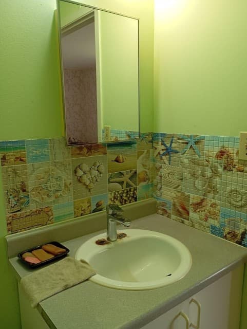 3 комн., 40 м², Каркасно-щитовой, Поселок Геологов, Борисовка-1 6