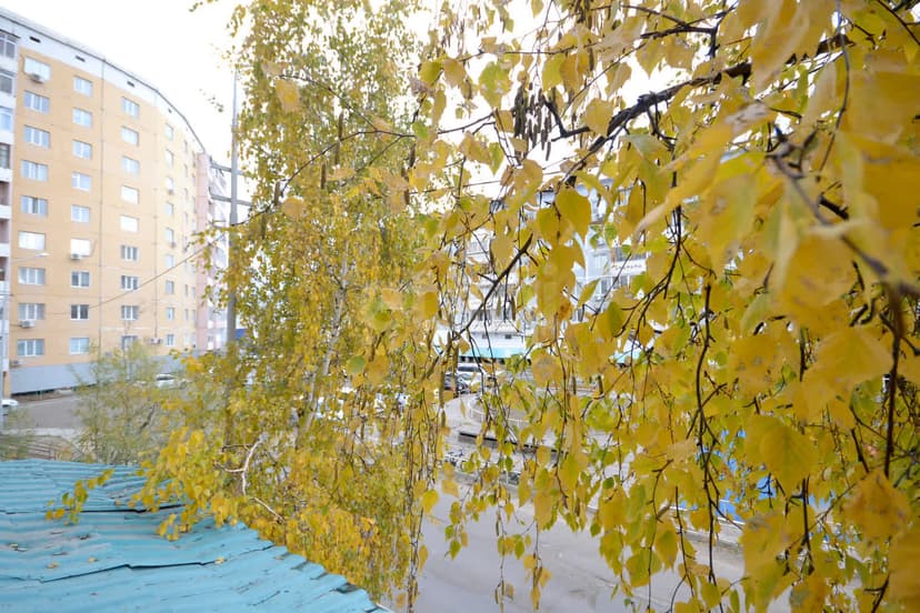 2 комн., 46 м², КПД 6