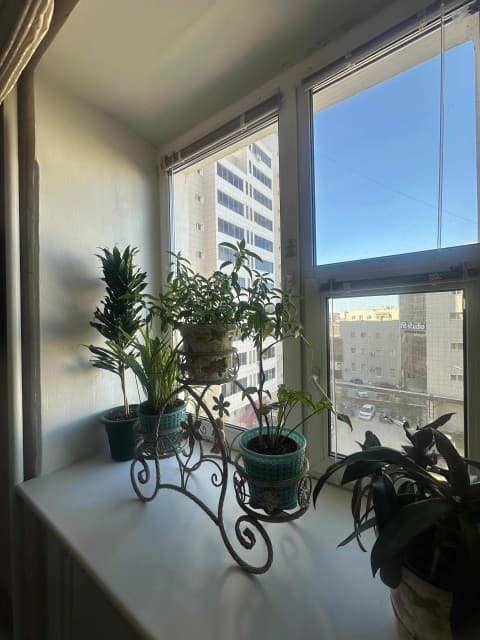 3 комн., 85 м², Инд. планировка, Апельсин 15