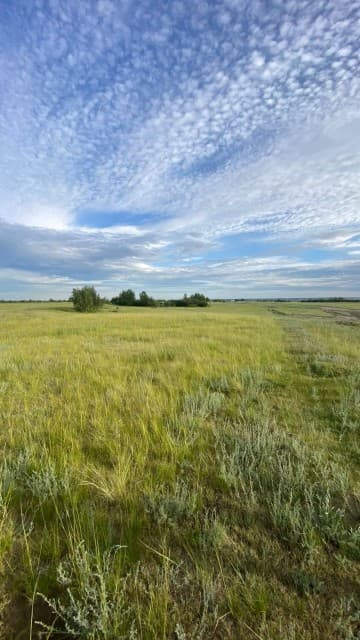 9000 м², земельные участки, продаю 2