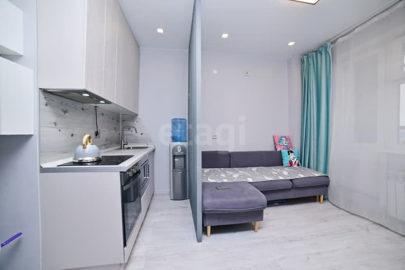 Студия, 20 м², Монолитно-каркасный 8