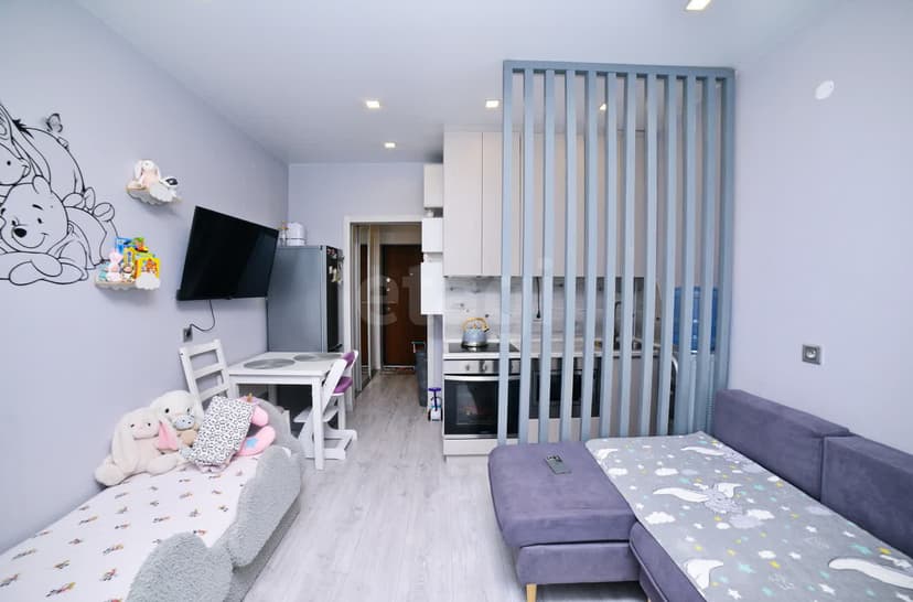 Студия, 20 м², Монолитно-каркасный 5