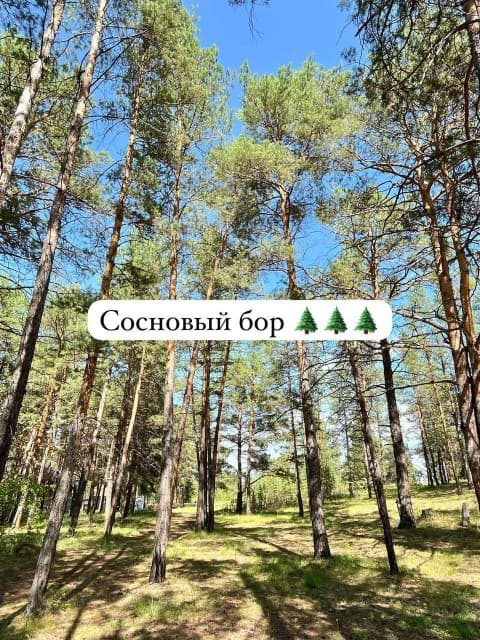 1000 м², земельные участки, продаю
