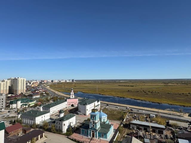 1 комн., Монолитно-каркасный, Кинотеатр Лена