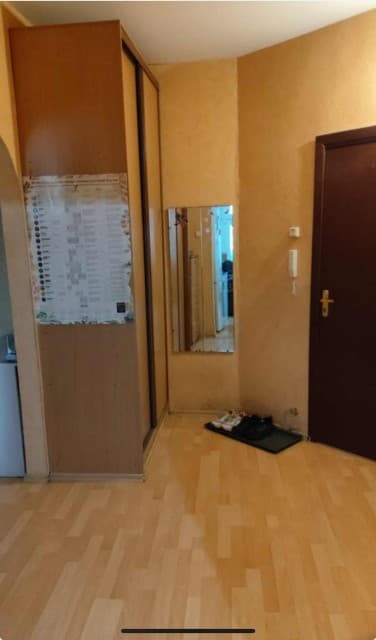 1 комн., 43 м², Инд. планировка, Центр - район пл. Дружбы 5