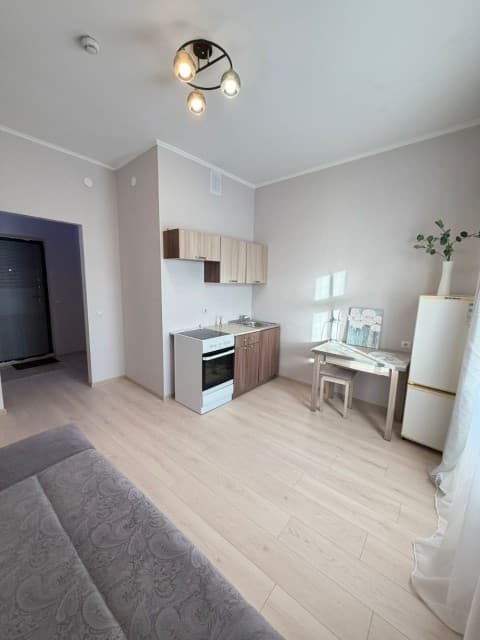 Студия, 20 м², Монолитно-каркасный, Гимеин 3