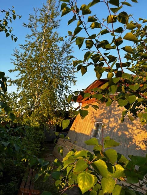 Фото квартиры 2