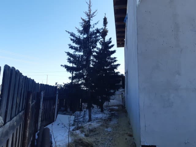 Фото квартиры 3