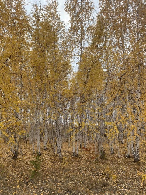 Фото квартиры 4