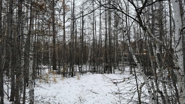 Фото квартиры 3