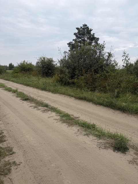 Фото квартиры 3