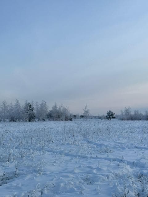 Участок, 1000.0 м²