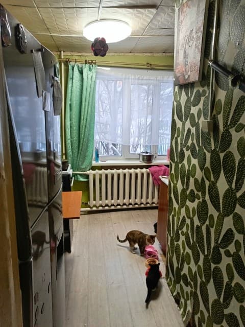 Фото квартиры 3