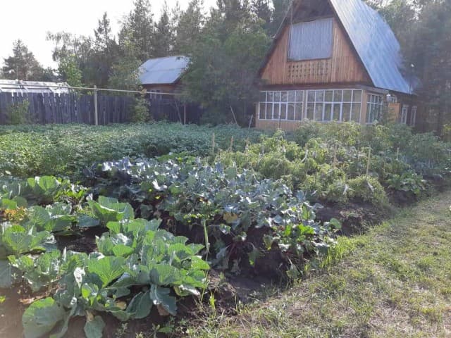 Фото квартиры 3