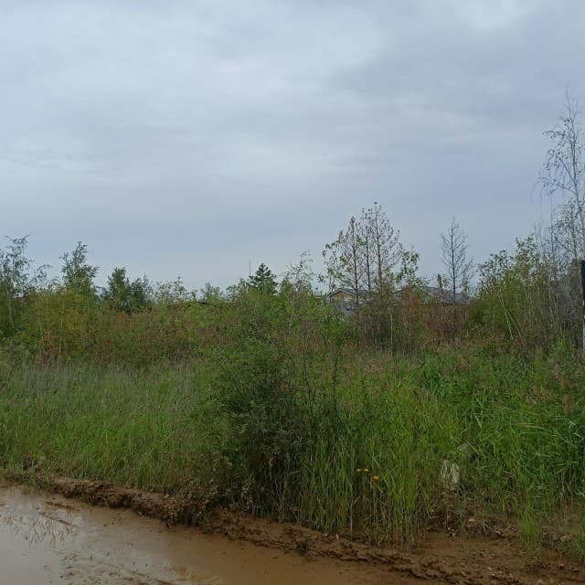 900 м², земельные участки, продаю