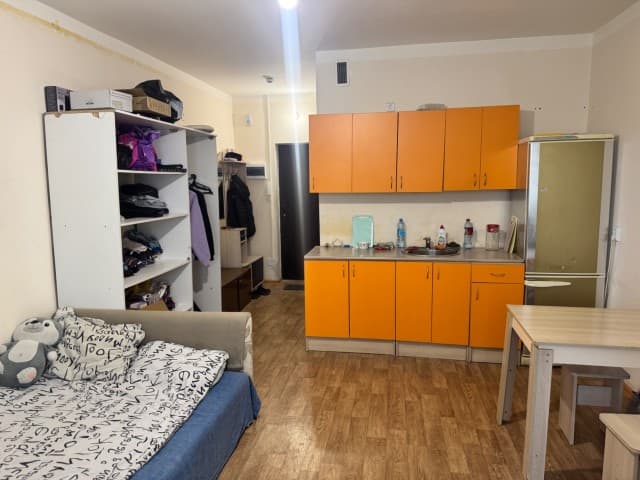 Студия, 28 м², Монолитно-каркасный, Сайсары 4